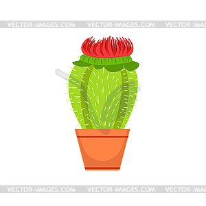 Home Cactus With Blooming Flower In Flowerpot, - royalty-free vector image