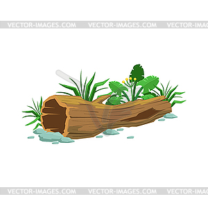 Decaying Wood Hollowed Log In Swamp Natural - vector image