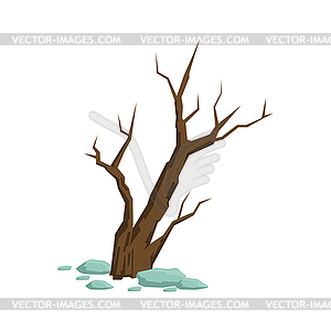 Dry Dead Bush Sticking of Rocky Soil Natural - vector image