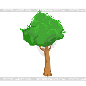 Tall Green Lime Tree Natural Landscape Design - vector clipart