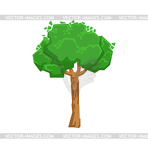 Tall Green Lime Tree природно-ландшафтный дизайн - векторный клипарт Royalty-Free