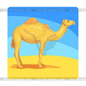 Camel Famous Touristic Attraction Of United Arab - vector clip art