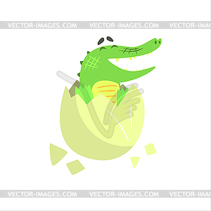 Crocodile Baby Hatching of Egg, Humanized Green - vector image