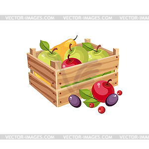 Wodden Crate Full Of Garden Fruits, Farm And Farmin - vector image