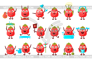 Tomato Cartoon Character Set - vector image
