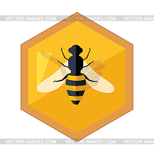 Hexagon Shape Honeycomb With Bee Insect In Center - vector clipart / vector image