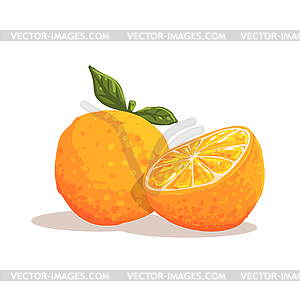 Fresh Full Garden Orange WIth Leaf And Orange - vector image