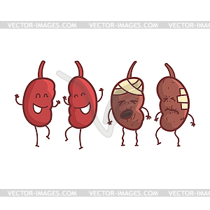 Kidneys Human Internal Organ Healthy Vs Unhealthy, - vector clip art