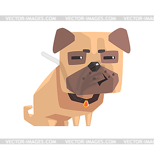 Suspicious Little Pet Pug Dog Puppy With Collar - vector image