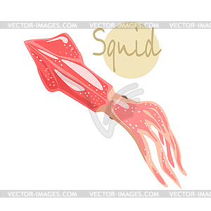 Marine Squid Animal, Food Item Rich In Proteins, - vector image