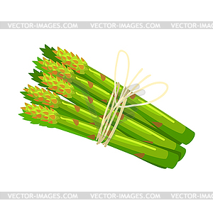 Bunch Of Asparagus Crops, Food Item Rich In - vector clipart