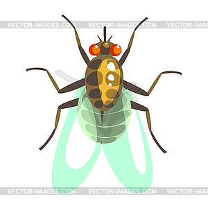 Fly insect colorful cartoon character - vector clipart