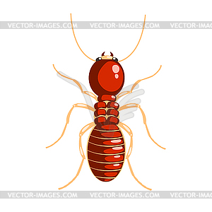 Termite insect colorful cartoon character - vector image