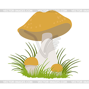 Lactarius quietus, edible forest mushrooms. Colorfu - vector image