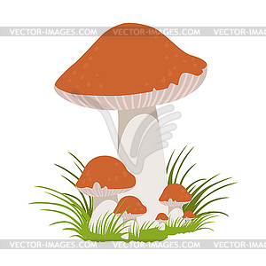 Lactarius quietus, edible forest mushrooms. Colorfu - vector clipart