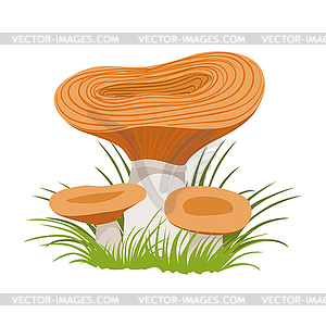 Freckle, edible forest mushrooms. Colorful cartoon - vector image