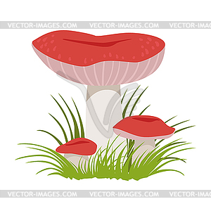 Russula xerampelina, edible forest mushrooms. - vector EPS clipart