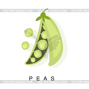 Peas Pod, Infographic With Realistic Pod-Bearing - vector image