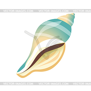 Smooth white and blue sea shell, an empty shell of - vector clip art