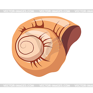 Спираль улитка дом или оболочка, пустая оболочка моря - графика в векторном формате