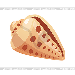 Ocean seashell, an empty shell of sea mollusk. - royalty-free vector clipart