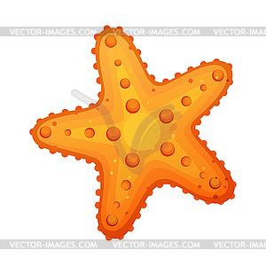 map of the future starfish clipart