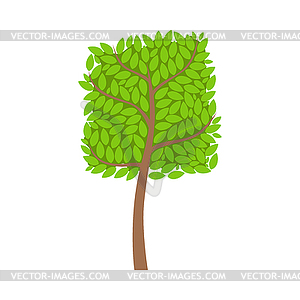 Tree with square crown and green leaves, element - vector image