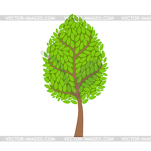 Tree with lush green foliage, leaves element of - vector image