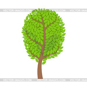 Зеленый лето дерево, элемент ландшафта. красочный - изображение в векторном формате