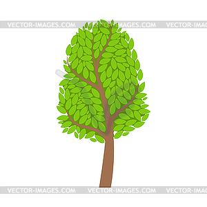 Season tree with green leaves, element of landscape - vector image