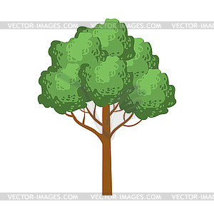 Green tree with rounded crown, element of landscape - vector clipart