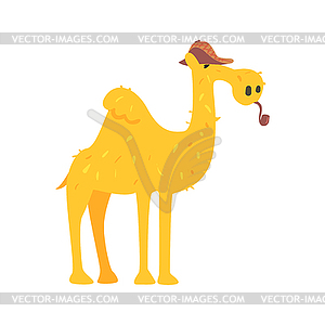 Cute cartoon camel in brown cap and smoking pipe. - vector clip art