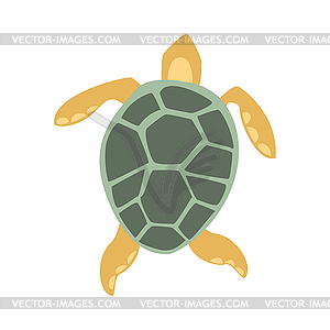 Yellow And Grey Turtle, Part Of Mediterranean Sea - vector image