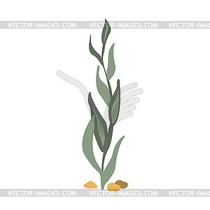 Sea Floor Seagrass, Part Of Mediterranean Sea Marin - vector image