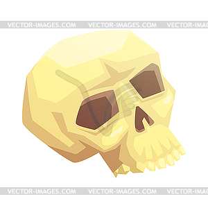 Human skull bone, - vector image