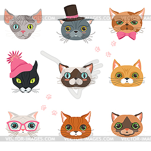 Set of funny cats heads of different breeds, - vector image