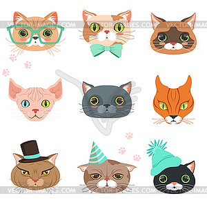 Set of cute cats heads of different breeds, colorfu - vector image