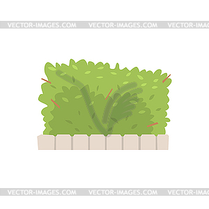 Green shrub fence, urban infrastructure element - vector clipart