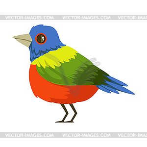 Colorful tropical bird - vector clipart