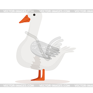 White domestic goose, poultry breeding - vector clipart