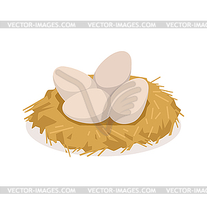 Chicken eggs in nest, poultry breeding - vector clip art