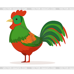 Colorful cock, poultry breeding - vector image