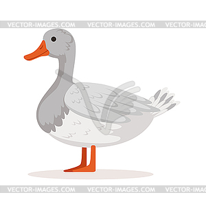 Domestic goose, poultry breeding - vector clipart / vector image