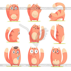 Cute red cartoon cat character with different - vector image