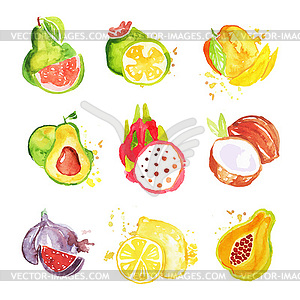 Set of tropical colorful watercolor fruits s - vector clipart