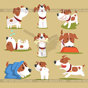 Funny puppy daily routine set, cute little dog in - vector clipart