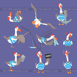 Cartoon seagulls with different poses and emotions - vector clipart