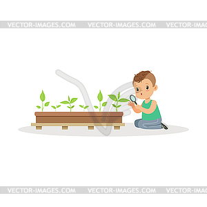 Cute little boy examining plants through - vector clipart