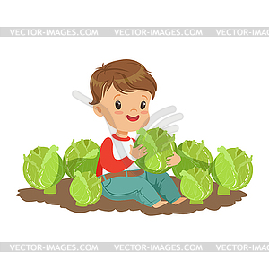 Cute little boy playing with cabbage in garden, kid - vector image