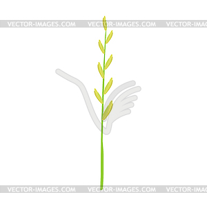 Стебель зеленой травы - иллюстрация в векторном формате
